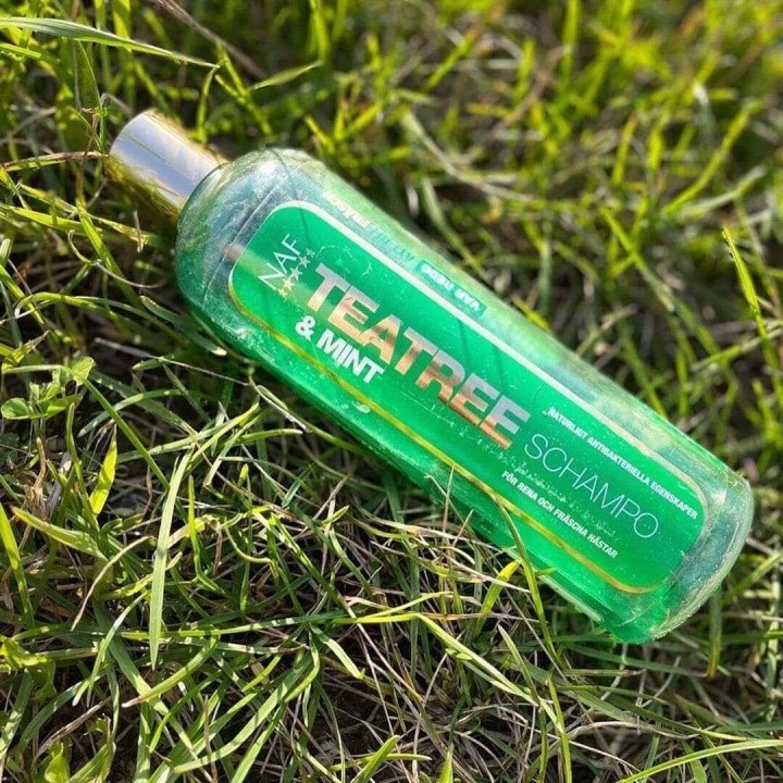 Shampoing teatree & mint shampoo 500ml