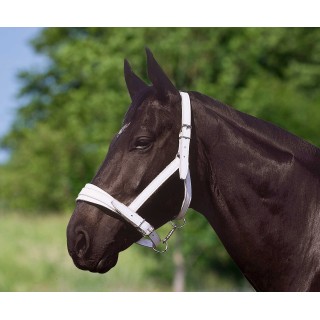 Licol.n.club cheval trait chrome APOLLO