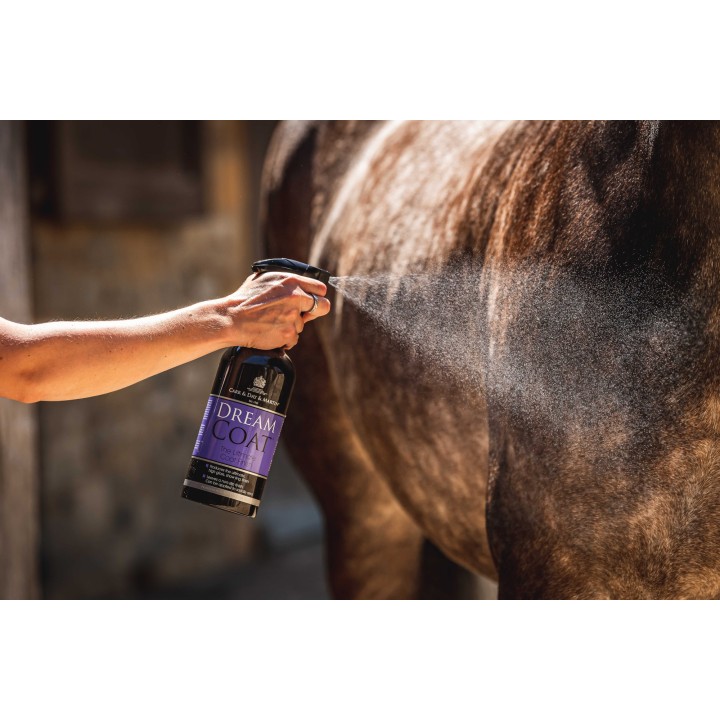 Lustrant carr & day dreamcoat 1l