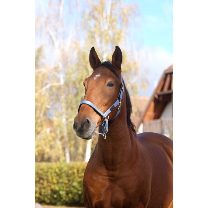 Licol nylon Equi-Thème Spring | Horse Discount