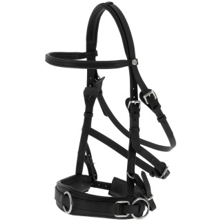 Caveçon large Norton | Horse Discount