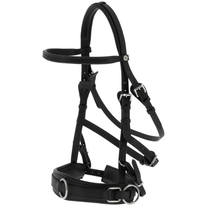Caveçon large Norton | Horse Discount