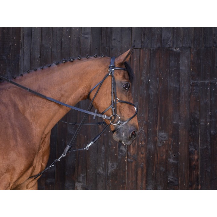 Gogue poulies r.world cheval noir - NORTON