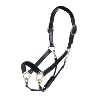 Licol hkm cuir gold