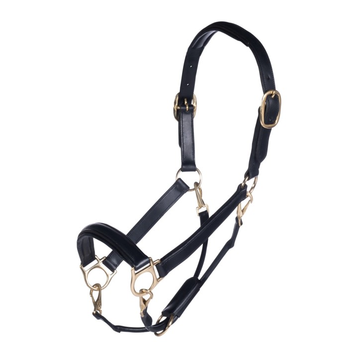 Licol hkm cuir gold