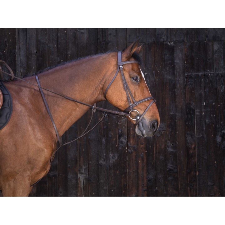 Martingale anneaux rw hav