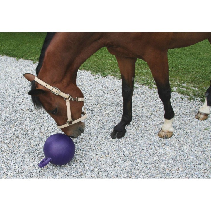 Balle a jouer violet menthe