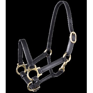 Licol poulain cuir star noir