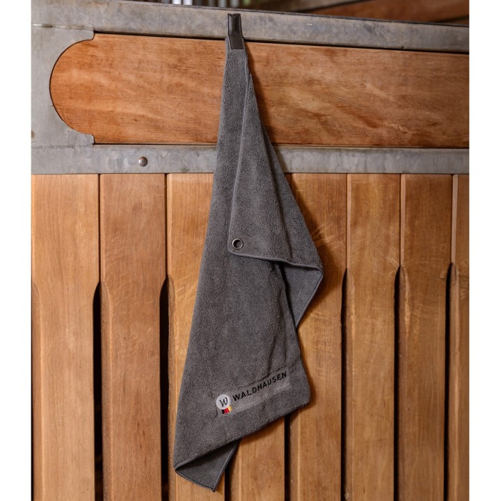 Serviette micro-fibre par 2 - WALDHAUSEN