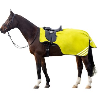 Couvre reins + encolure