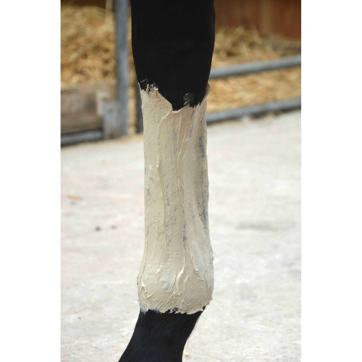 Pâte d'argile effort intense - Nutragile - Complément cheval
