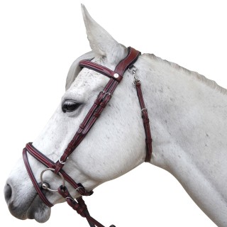Bridon Flags & Cup Lanaken | Horse Discount