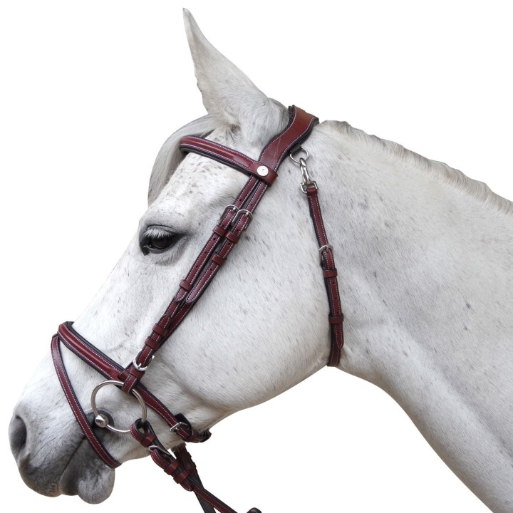 Bridon Flags & Cup Lanaken | Horse Discount