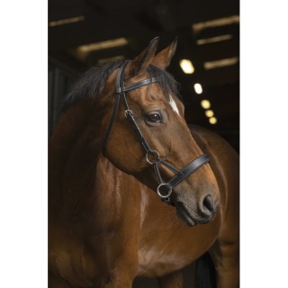 Side-pull Norton pro tresse | Bridon western efficace