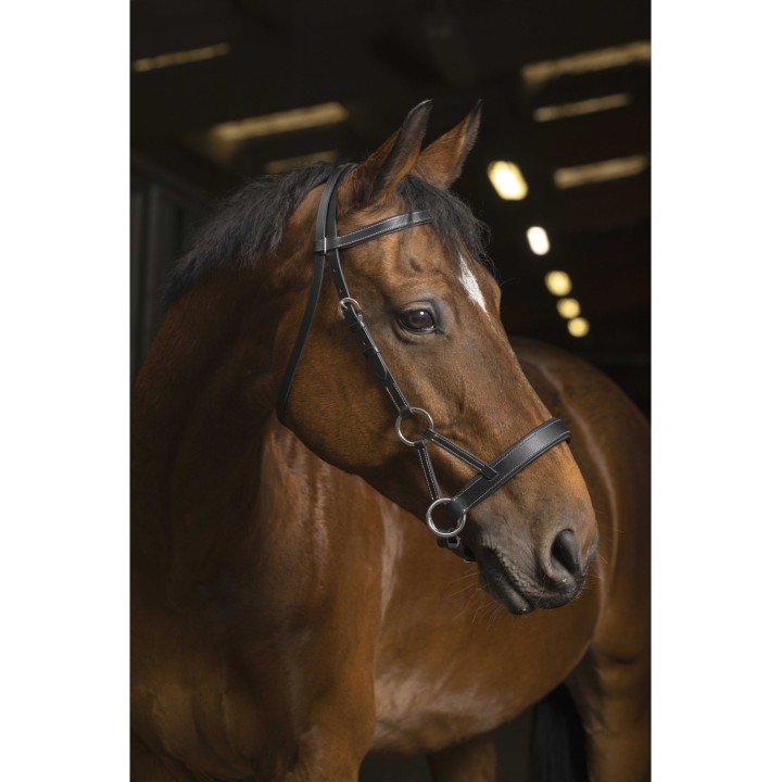 Side-pull Norton pro tresse | Bridon western efficace
