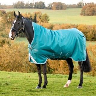 Amigo Bravo 12+ HORSEWARE