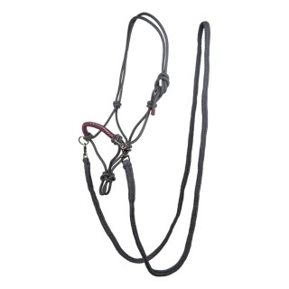 Licol nodal strass avec rênes HKM