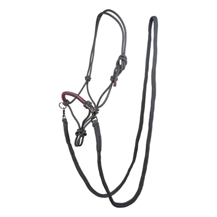 Licol nodal strass avec rênes HKM