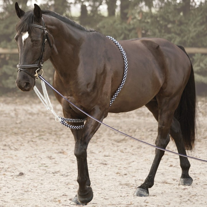 Enrênement soft rope marine/blanc CANTER