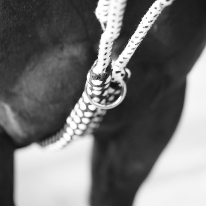Enrênement soft rope marine/blanc CANTER