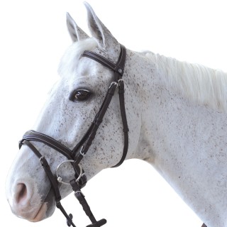 Bridon Canter Ornella | Horse Discount