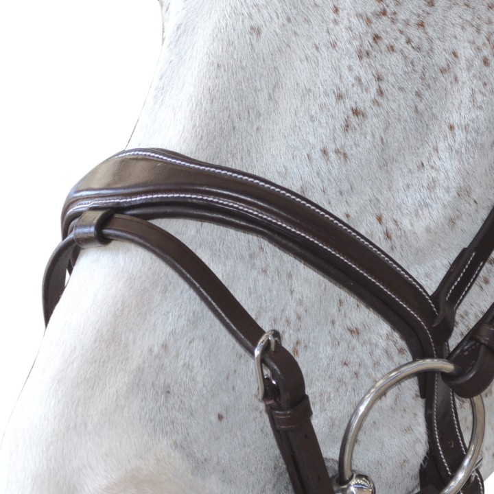 Bridon Canter Ornella | Horse Discount