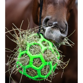 Balle à foin Waldhausen - Foin compressé cheval