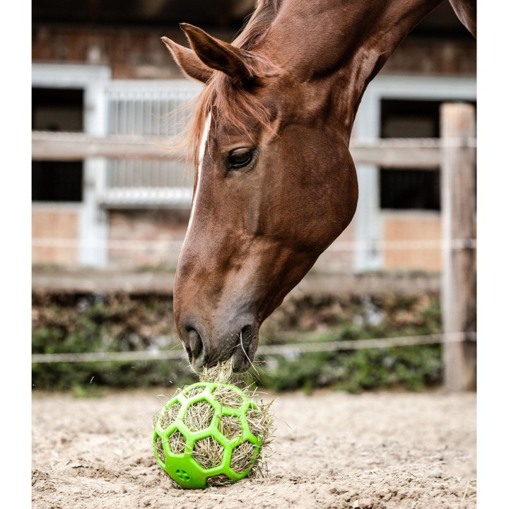 Balle à foin Waldhausen - Foin compressé cheval