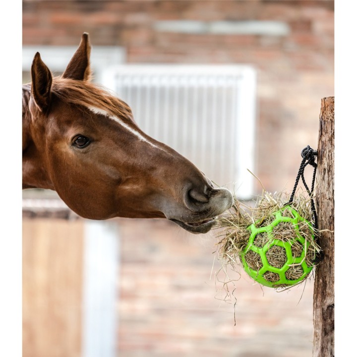 Balle à foin Waldhausen - Foin compressé cheval
