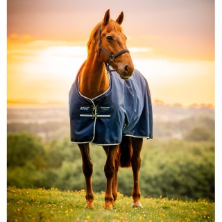 Amigo ripstop 900d turnout Horseware