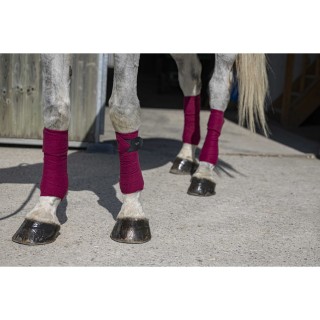 Bandes polo Riding World Eco cheval | Horse Discount