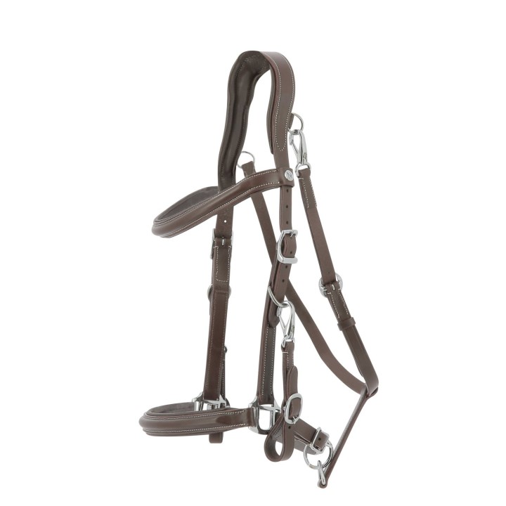 Bridon licol norton trekking