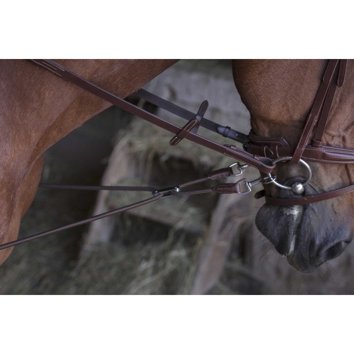 Enrênement élastique court/poulies cheval