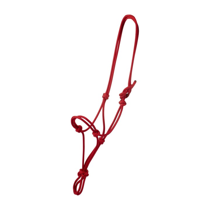 Corde licol ethologique TATTINI - Licol en corde