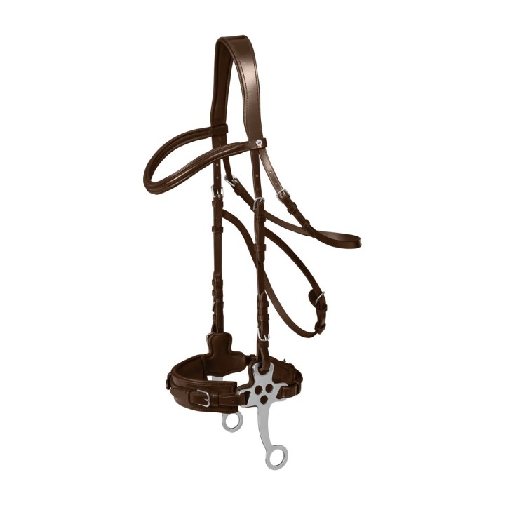 Bridon x-line pour hackamore