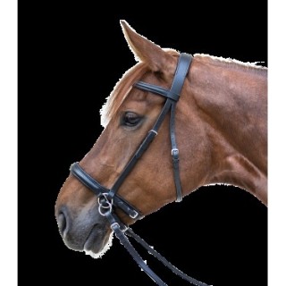 Bridon star ss mors noir