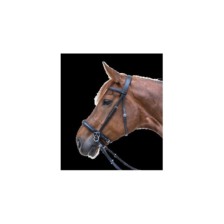 Bridon star ss mors noir