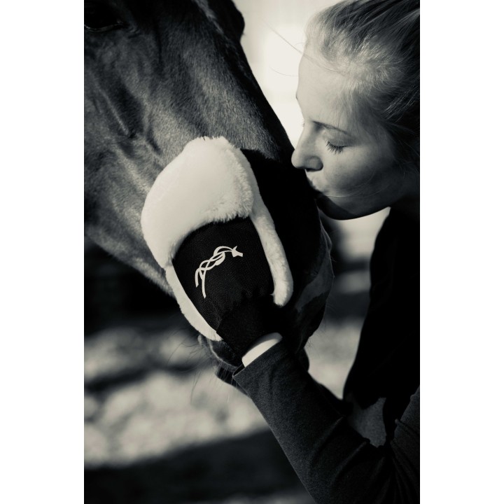 gant de pansage penelope