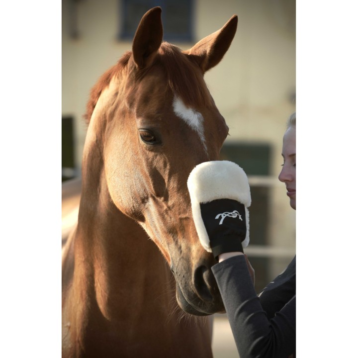 gant de pansage penelope