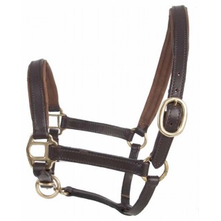 Licol foal cuir
