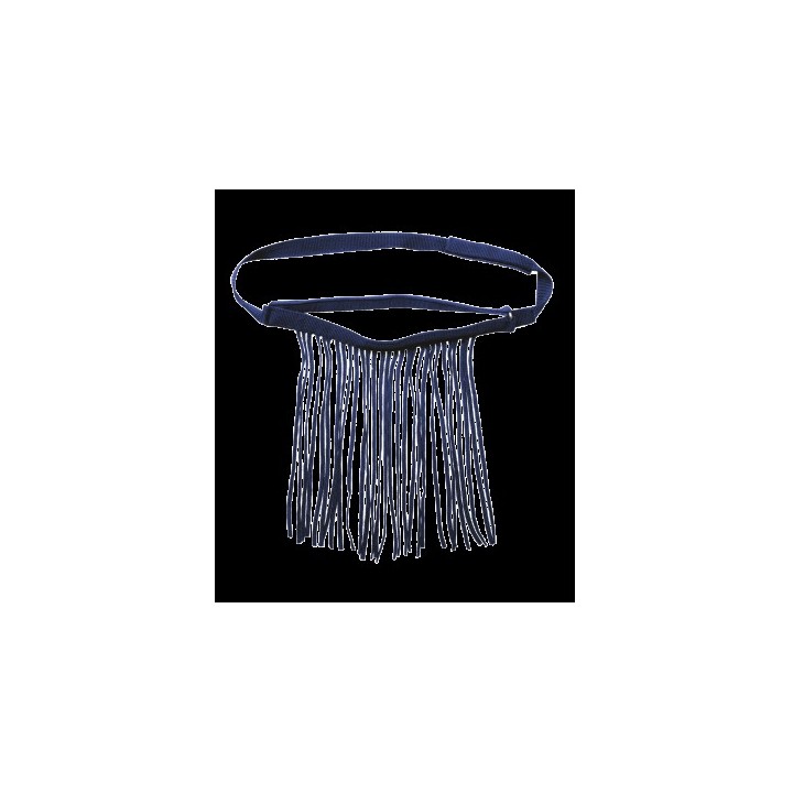 Frontal anti mouche noir autonome