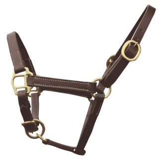 Licol foal presentation marron