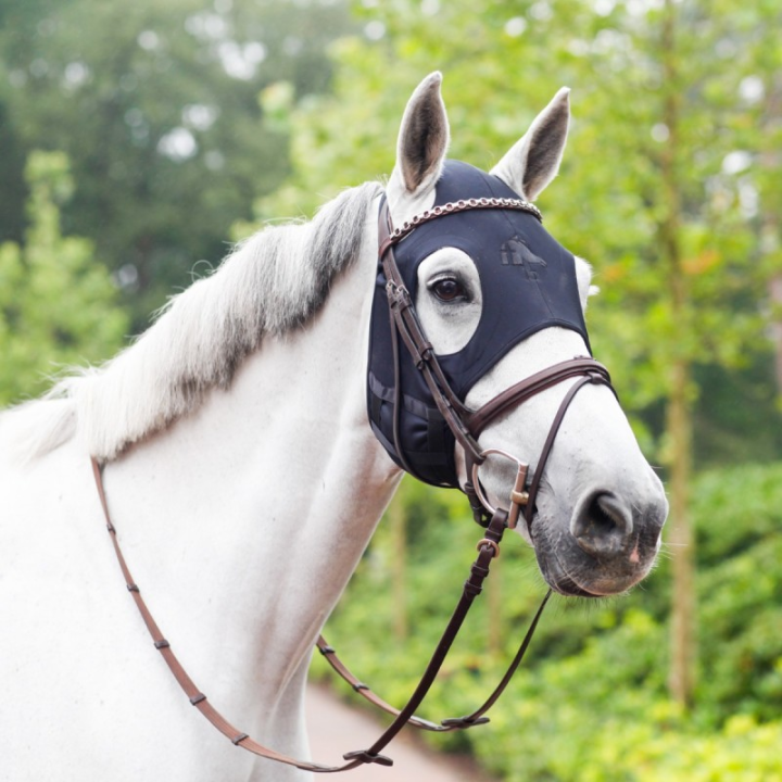 Mask fenwick titanium sans oreille