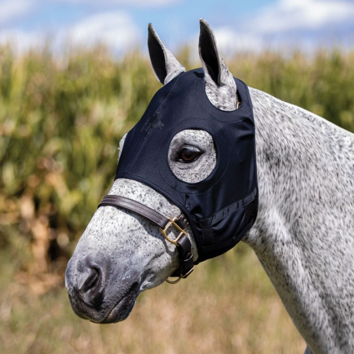 Mask fenwick titanium sans oreille