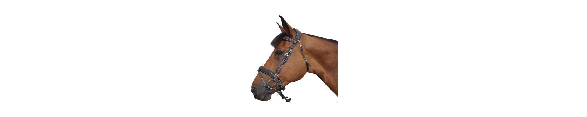 Brideries, brides et bridons pour chevaux | Horse Discount