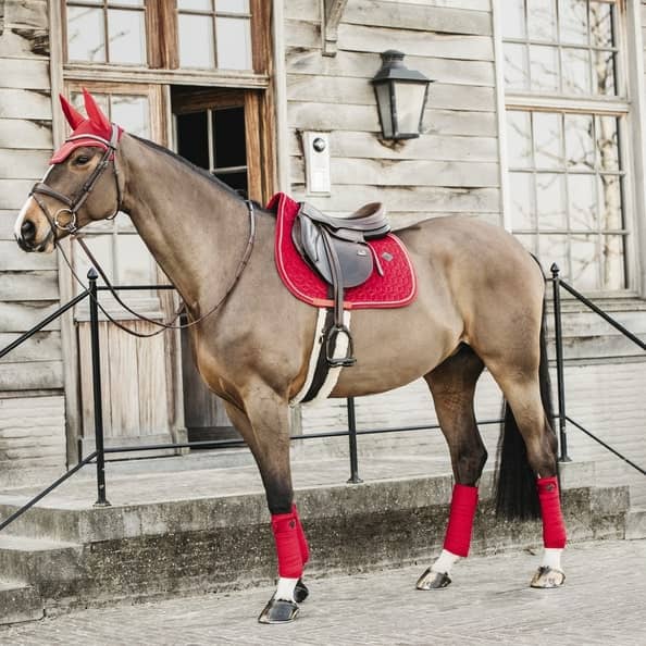 Horse Discount - Vente de matériel d'Equitation aux meilleurs prix