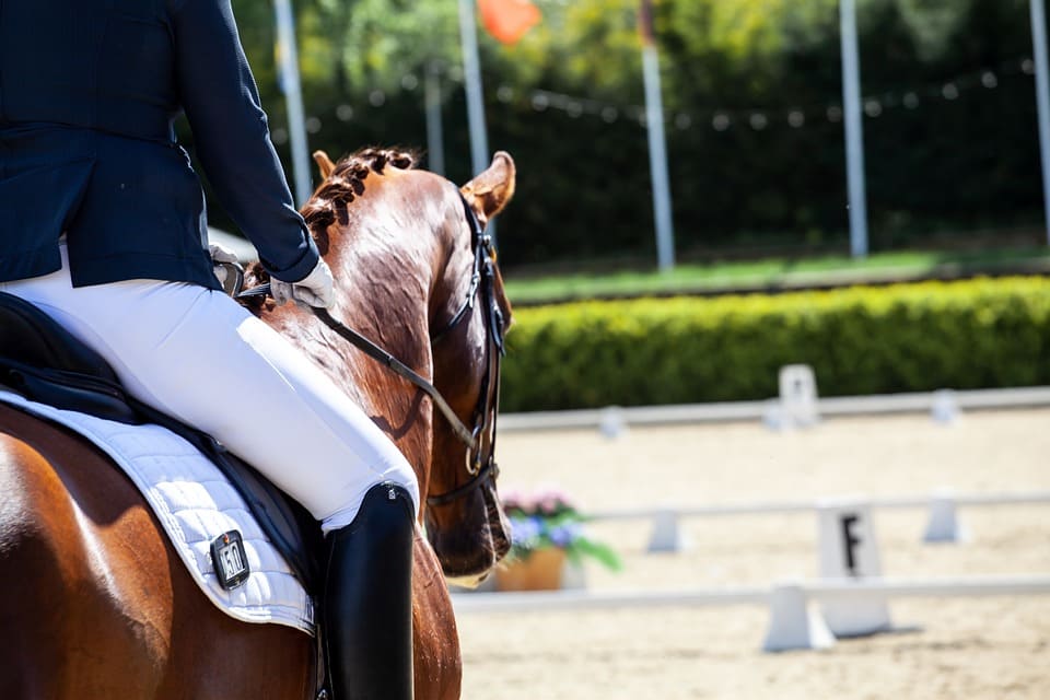 Comment choisir sa veste de concours équitation