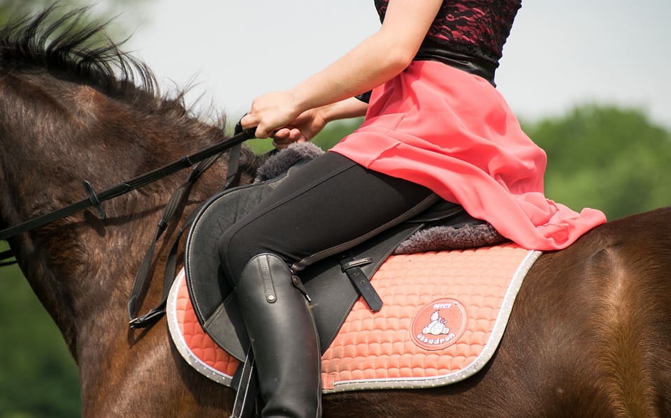 Tapis de selle pour cheval - guide Horse Discount